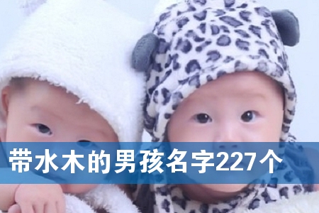 带水木的男孩名字227个