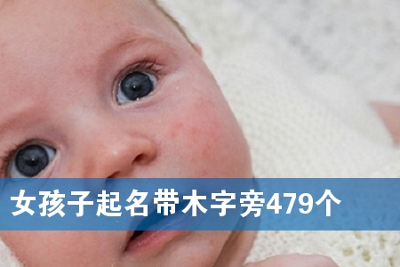 Å®º¢×ÓÆðÃû´øÄ¾×ÖÅÔ479¸ö