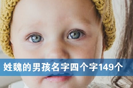 姓魏的男孩名字四个字149个