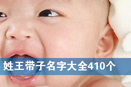 姓王带子名字大全410个
