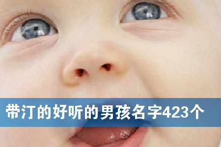 带汀的好听的男孩名字423个
