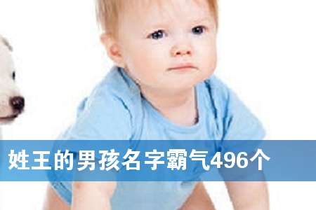 姓王的男孩名字霸气496个