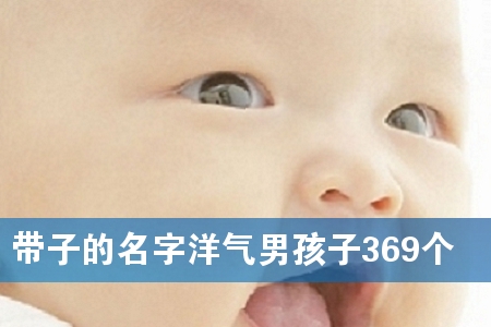 带子的名字洋气男孩子369个