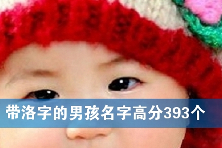 带洛字的男孩名字高分393个