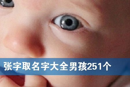 张字取名字大全男孩251个
