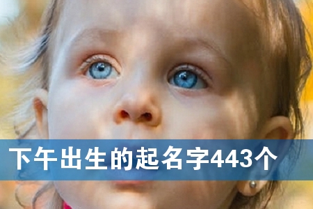 下午出生的起名字443个