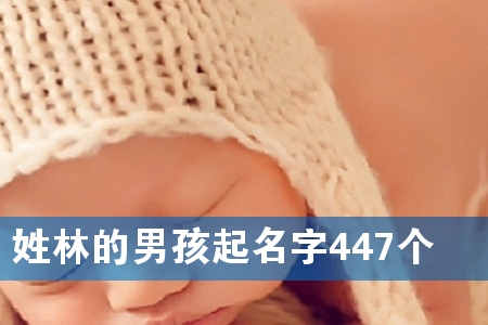 ���ֵ��к�������447��