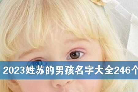2023姓苏的男孩名字大全246个