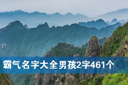 霸气名字大全男孩2字461个