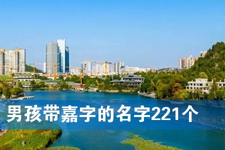 男孩带嘉字的名字221个