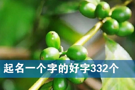 起名一个字的好字332个