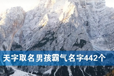 天字取名男孩霸气名字442个