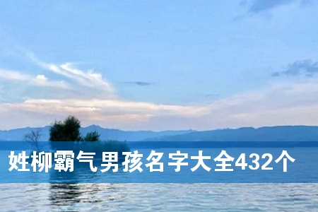 姓柳霸气男孩名字大全432个