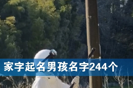 家字起名男孩名字244个