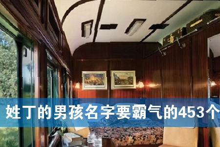 ÐÕ¶¡µÄÄк¢Ãû×ÖÒª°ÔÆøµÄ453¸ö