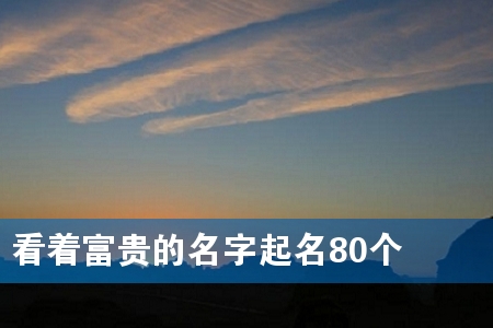 看着富贵的名字起名80个