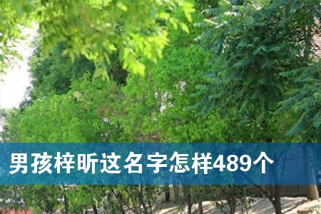 男孩梓昕这名字怎样489个