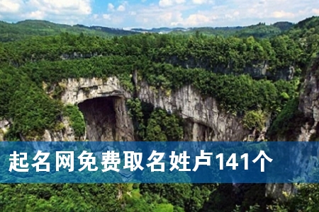 起名网免费取名姓卢141个