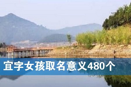宜字女孩取名意义480个