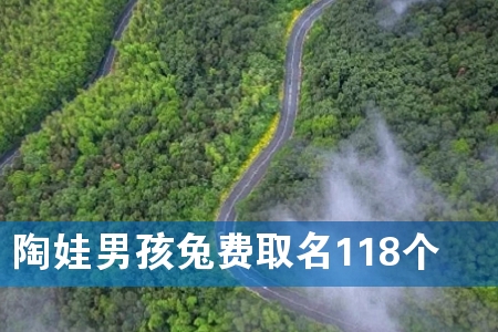 陶娃男孩兔费取名118个
