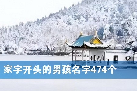 家字开头的男孩名字474个