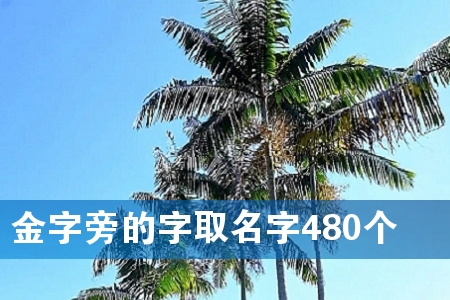 金字旁的字取名字480个