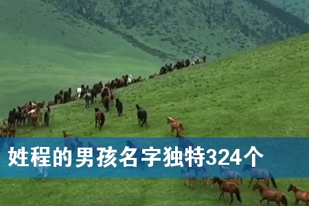 姓程的男孩名字独特324个