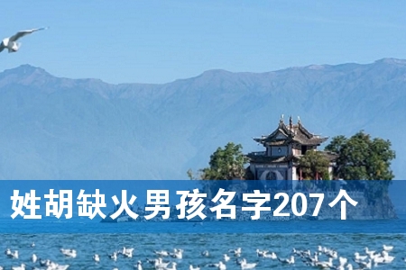 姓胡缺火男孩名字207个