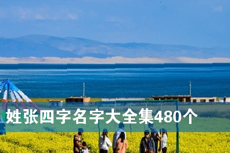 姓张四字名字大全集480个