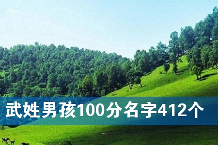 武姓男孩100分名字412个