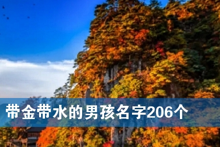 �����ˮ���к�����206��