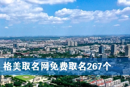 格美取名网免费取名267个