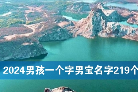 2024男孩一个字男宝名字219个