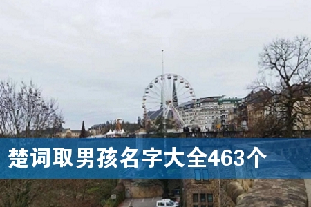 楚词取男孩名字大全463个