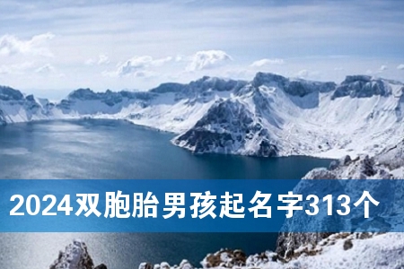 2024双胞胎男孩起名字313个