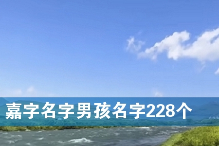 嘉字名字男孩名字228个