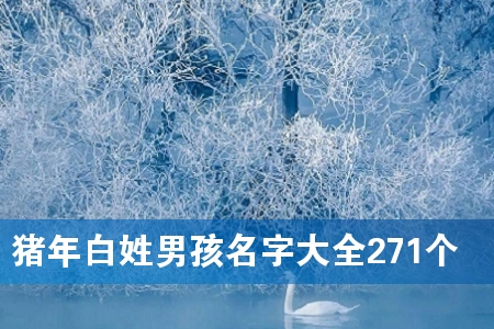 猪年白姓男孩名字大全271个