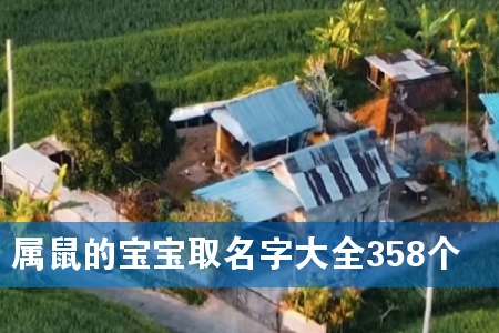 属鼠的宝宝取名字大全358个