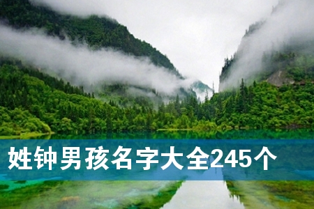 姓钟男孩名字大全245个