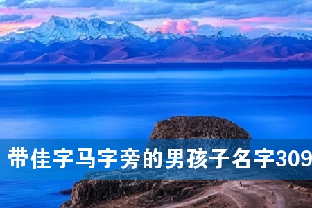 �����������Ե��к�������309��