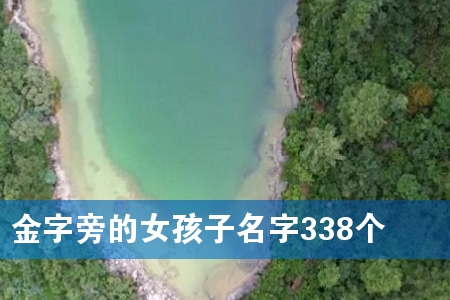 金字旁的女孩子名字338个