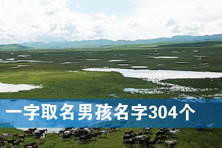 一字取名男孩名字304个