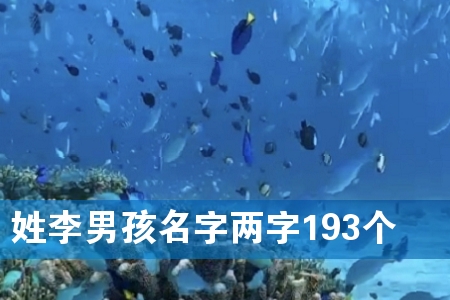 姓李男孩名字两字193个