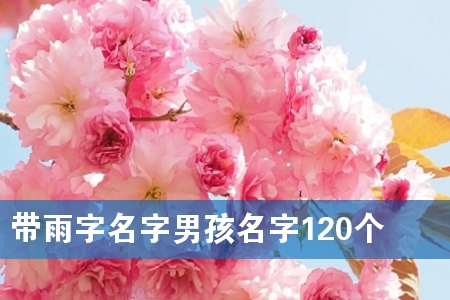 带雨字名字男孩名字120个