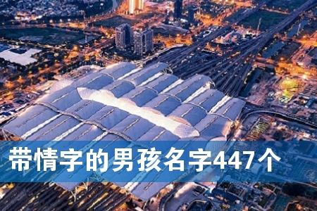 带情字的男孩名字447个