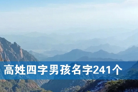 高姓四字男孩名字241个
