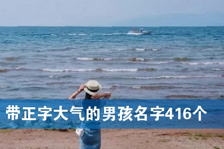 带正字大气的男孩名字416个