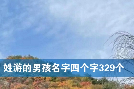 姓游的男孩名字四个字329个