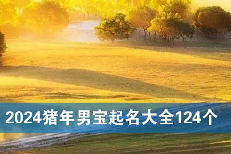 2024猪年男宝起名大全124个