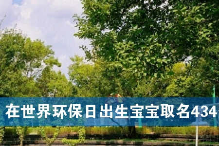 在世界环保日出生宝宝取名434个
